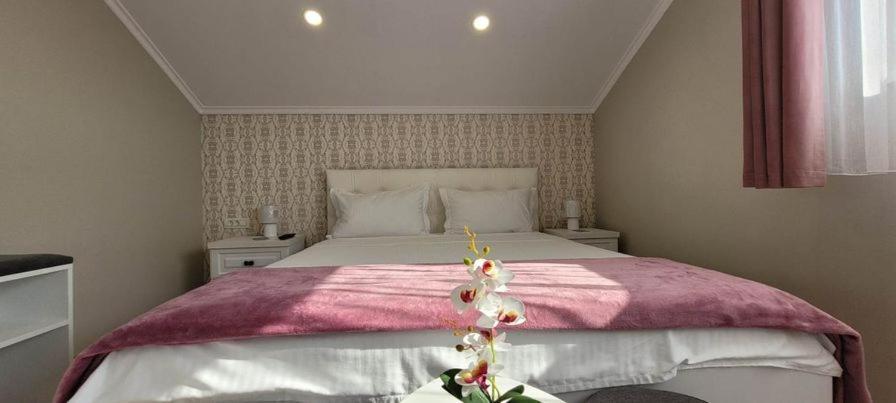 Casa Leahu Bed and Breakfast Baile 1 Mai Εξωτερικό φωτογραφία