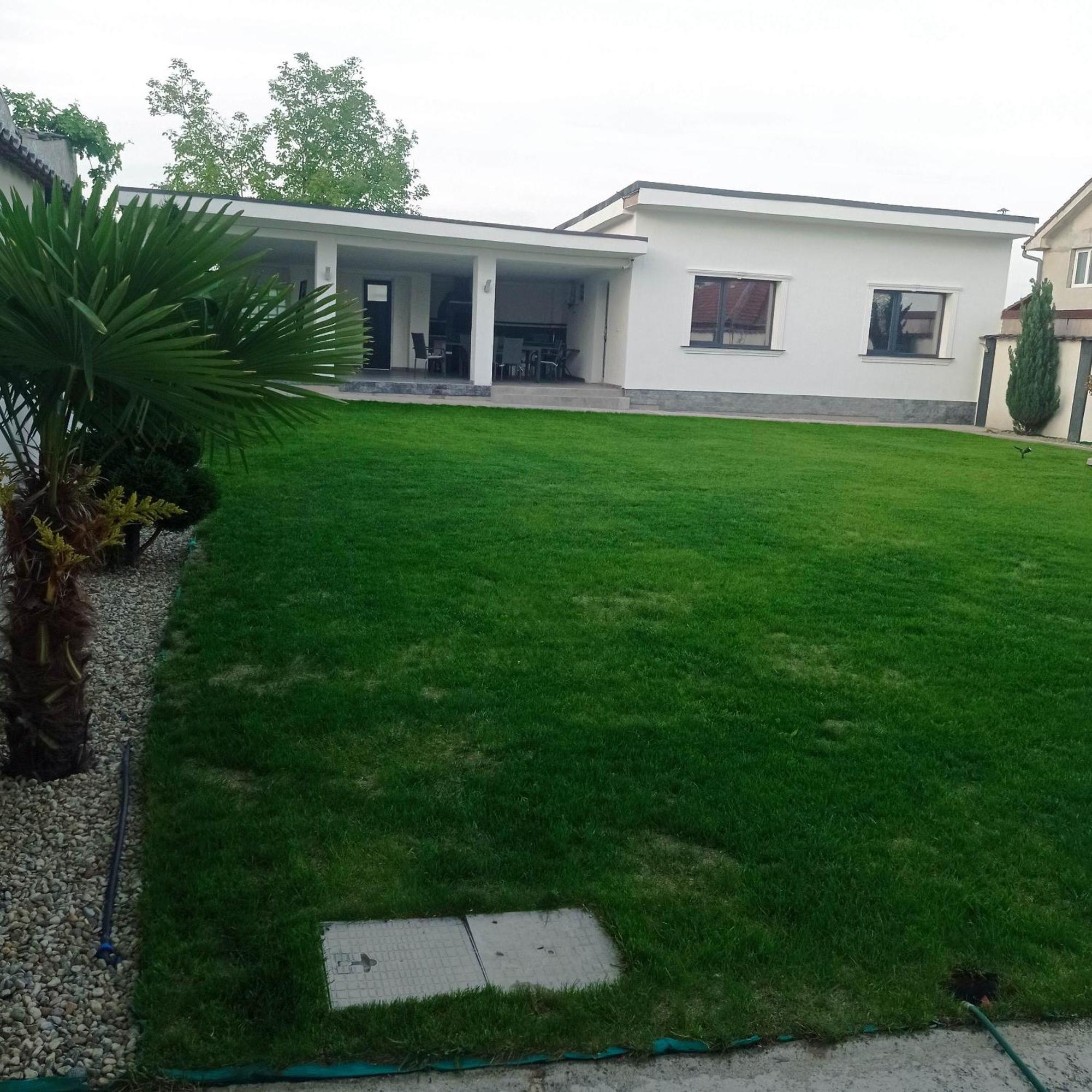 Casa Leahu Bed and Breakfast Baile 1 Mai Εξωτερικό φωτογραφία